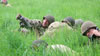 2010 World War II re-enactment