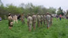 2010 World War II re-enactment