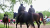 2010 World War II re-enactment